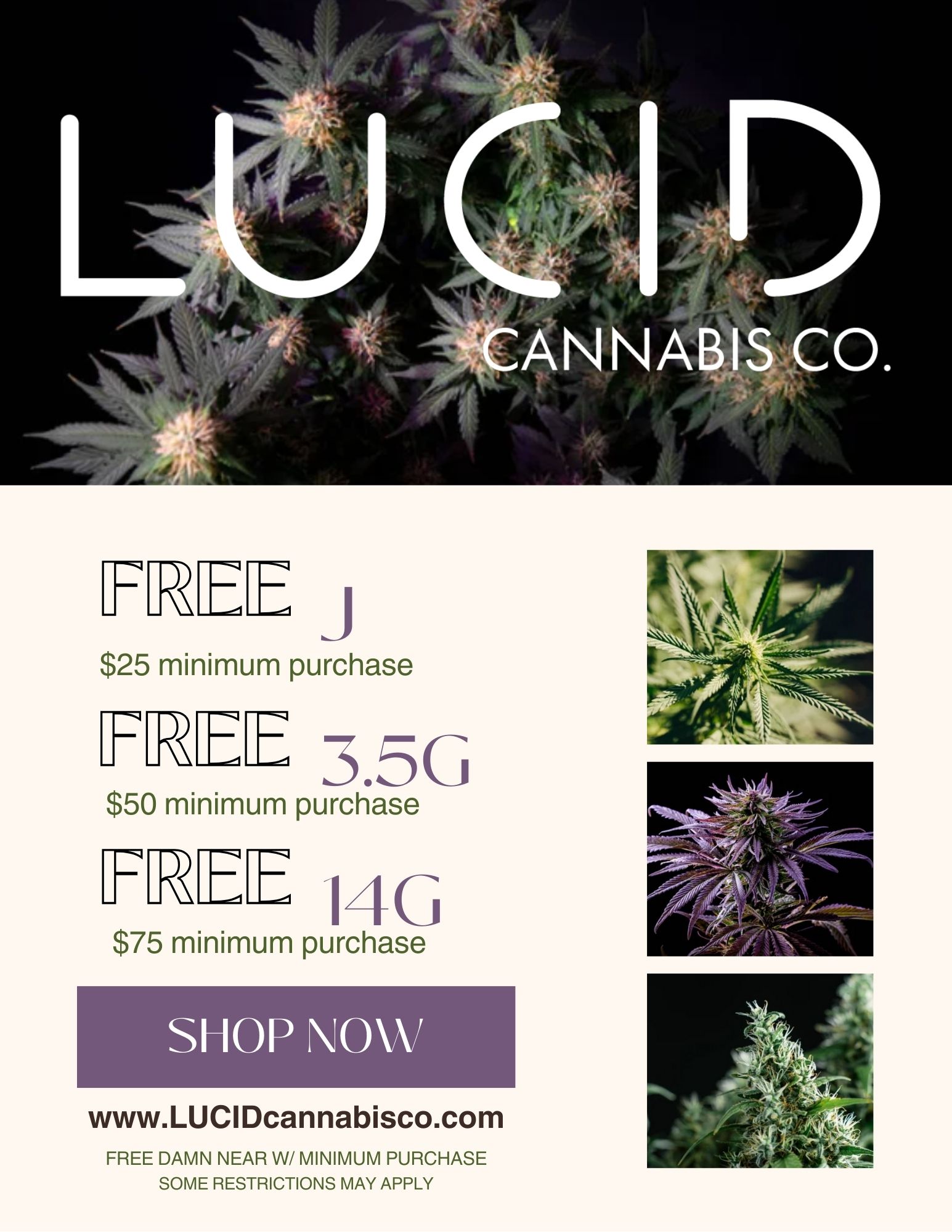 FREE j $25 minimum purchase MEE 3.5G $50 minimum purchase FR 14G $75 minimum purchase SHOP NOW www.LUCIDcannabisco.com FREE DAMN NEAR W/ MINIMUM PURCHASE SOME RESTRICTIONS MAY APPLY / 