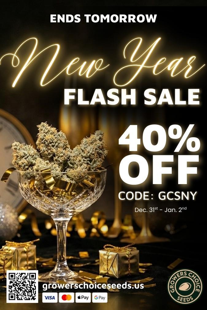 ENDS TOMORROW CODE GCSNY Dec 31cd - Jan. 2d / 