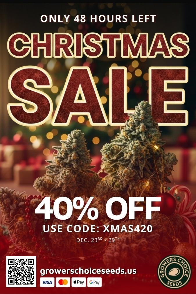 40 OFF USE CODE XMAS420 DEC. 23R0 - 29TH / 