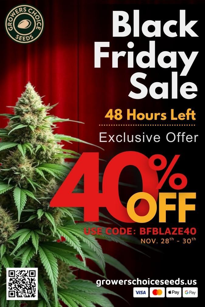 Exclusive Offer ODE BFBLAZE40 - NOV. 28th - 30th growerschoiceseeds.us sPaY / 