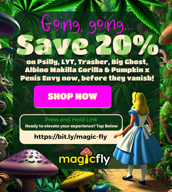 G9109 5415- Save 20 on Psilly LYT Trasher Big Ghost Albino Makilla Gorilla Pumpkin x Penis Envy now before they vanish Press and Hold Link Ready to elevate your experience Tap Below https//bit.ly/magic-fly / Going, going Save 20% on Psilly, LYT, Trasher, Big Ghost, Albino Makilla Gorilla & Pumpkin x Penis Envy now, before they vanish!Shop now at magicfly.com