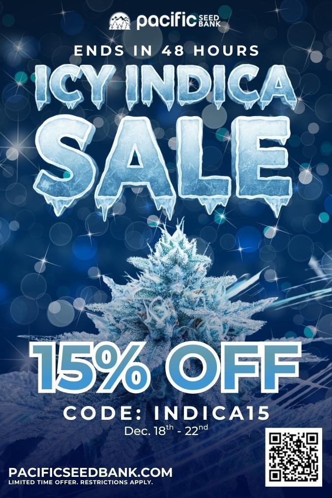 tlfu pacific ENDS IN 48 HOURS CODE INDICA15 Dec. 18h - 22nd a PACIFICSEEDBANK.COM LIMITED TIME OFFER. RESTRICTIONS APPLY. a / 