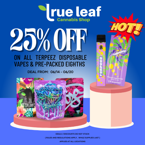 terpeez disposable vape Terpeez GDP Live Resin Disposable Vape Pen 1g main image 1