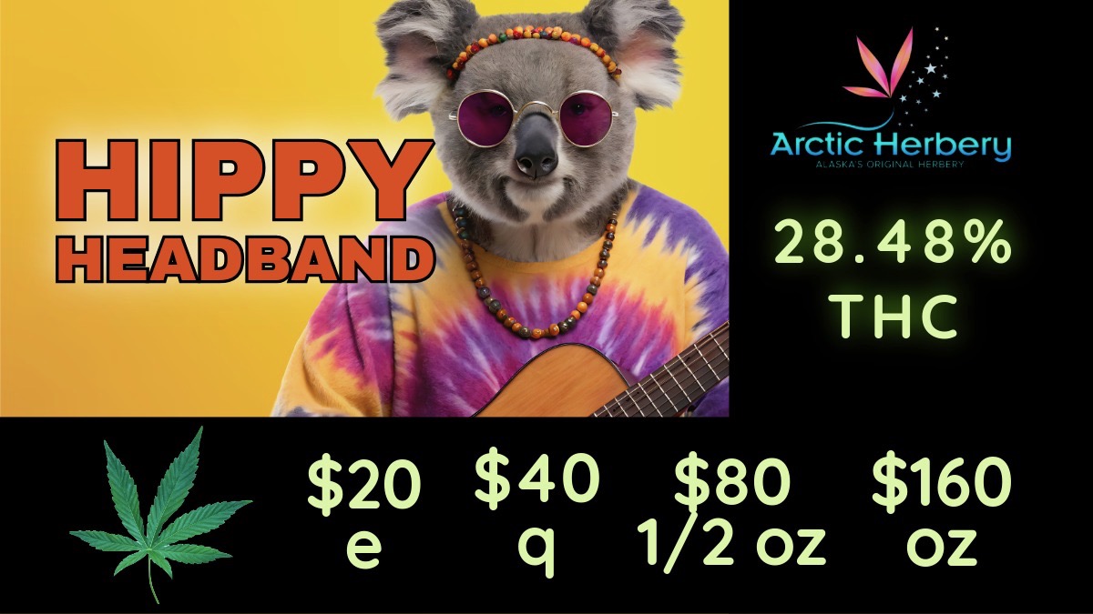 Arctic Herbero 28.48 THC / $20eigths - $160oz: Big Bud Hippy Headband 28.48% THC, Big Bud Ice Cream Cake 26.79% THC, Big Bud Delicata Grapes 26.75% THC, Big Bud Super Sour 25.51% THC, Sour AL 23.88% THC & 2.38% Terps and Purple Banana Cake 22.98% THC & 2.28% Terps$5 half gram flower pre rolls (Delicata Grapes 27.63% THC & CSR 23.19% THC)10% off regular priced items for Seniors and Military every day!Some restrictions apply