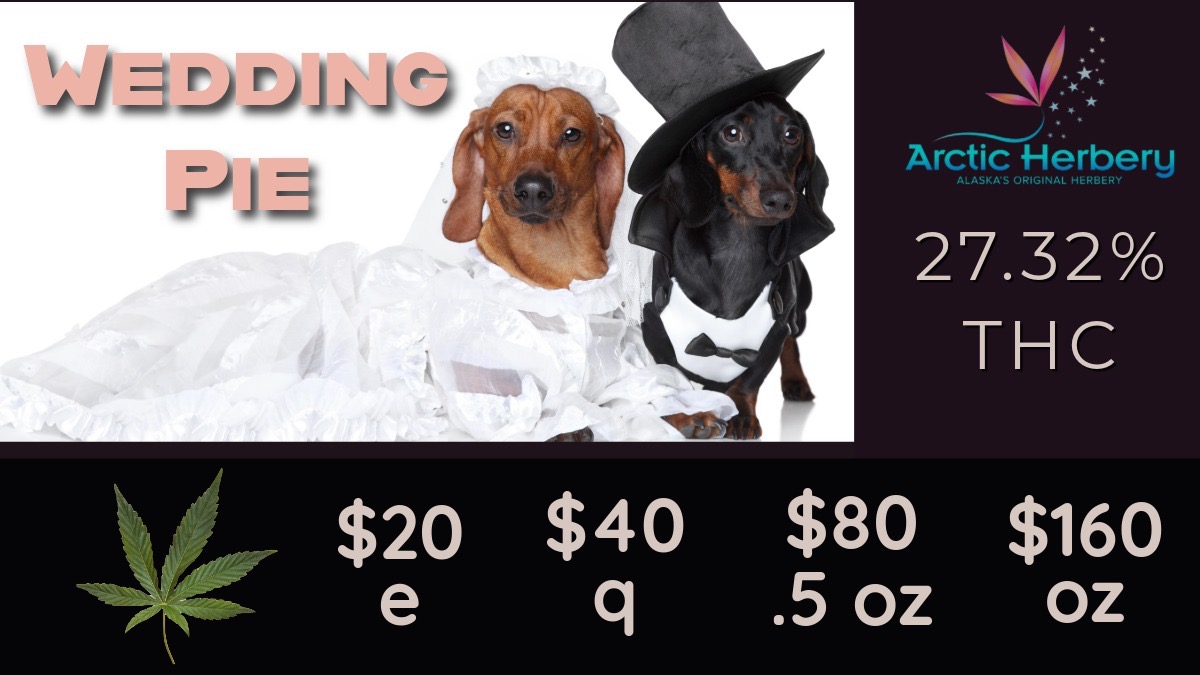 Arctic Herbery 27.32 THC S$20 $40 $80 $160 e q .5 oz oz / Tasty Tuesday: 15% off all non sale edibles$30e - $200oz: Dutch Koffee 30.75% THC & 2.60% Terps$20 eighths - $160oz: Big Bud Wedding Pie 27.32% THC, Goofiez 26.21% THC, Big Bud Pink Punch 25.05% THC, Big Bud Super Sour 24.93% THC, Big Bud Peanut Butter Biscotti 24.32% THC, Big Bud Cap Junky 23.34%Select $5 0.5g Flower Pre Rolls10% off regular priced items for Seniors and Military every daySome restrictions apply.