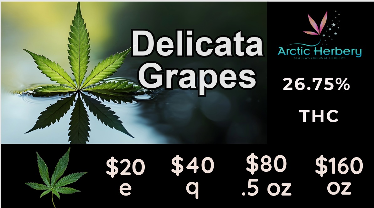 $20 $40 $80 $160 e q .5 oz oz / Every Tuesday: get 15% off all non sale Edibles$20eigths - $160oz: Big Bud Delicata Grapes 26.75% THC, Big Bud Peach Sangria 26.50% THC, Big Bud Banana Cream Cake 26.27% THC, Big Bud Lemon Orange 26.19% THC & 2.49% Terps, Big Bud Gush Mint's 24.28% THC and Big Bud Patron 24.26% THC & 1.77% Terps10% off regular priced items for Seniors and Military every day!Some restrictions apply