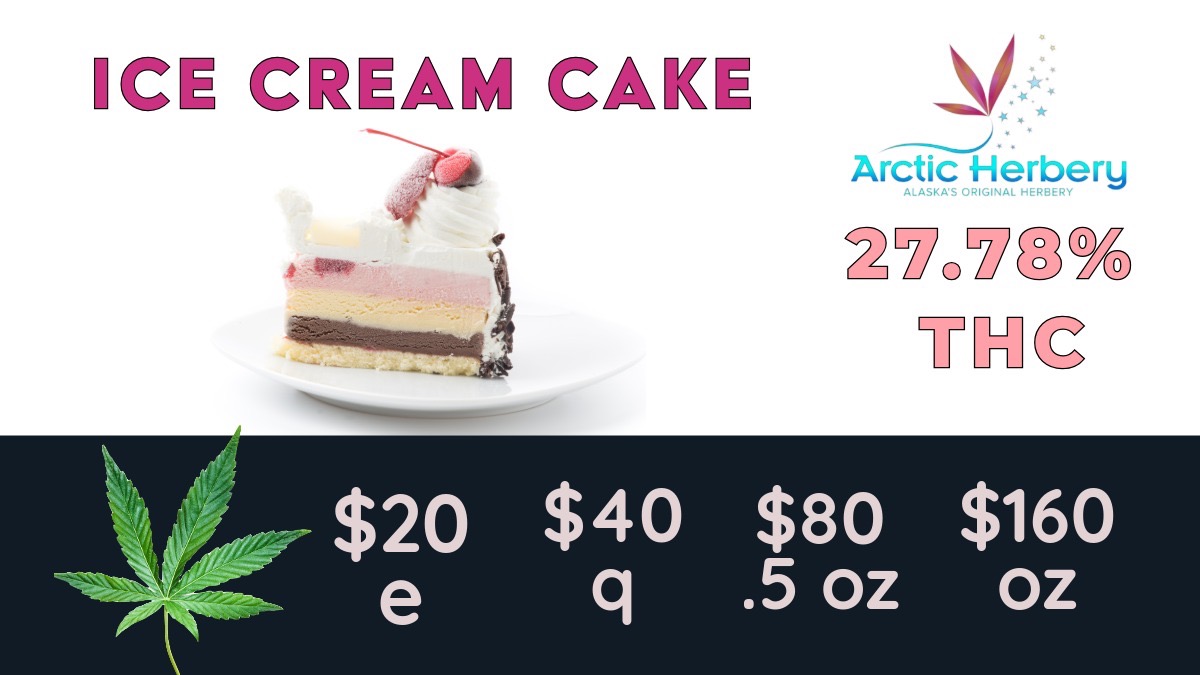 CE MZGJ LIE Arctic Herbery ALASKAS ORIGINAL HERBERY WOITCYDA / Flower Day! Every Friday get 15% off all top-shelf flower strains$30e up to $200oz: Triple Burger 30.48% THC & 3.56% Terps$20e up to $160oz: Big Bud Ice Cream Cake 27.78% THC, Sour Al 23.88% THC & 2.38% Terps, Big Bud Lemon Orange 23.72% THC & 2.44% Terps, Big Bud LA Kush Cake 23.49% THC, Big Bud Gelato X 23.32% THC, Big Bud CSR 23.19% THC, and Big Bud Super Boof 22.19% THC10% off for Military and Seniors every daySome restrictions apply