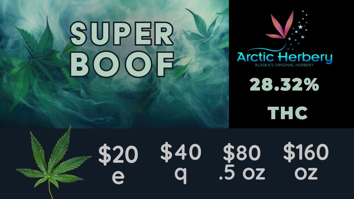 Arctic Herbery ALASKAS ORIGINAL HERBERY 28.32 THC / Tasty Tuesday, get 15% off all non-sale edibles$20eigths - $160oz: Big Bud Super Boof 28.32% THC, GMO Sunset Octane 25.79% THC, Gelato X 23.32%, Big Bud Hippie Charms 21.81% THC, Big Bud Peanut Butter Biscotti 21.83% THC, Grape Soda 21.58% THC & 3.31% Terps and Sherbz 19.14% THC & 2.16% Terps10% off regular priced items for Seniors and Military every day!Some restrictions applyHOLIDAY HOURS:Wednesday Dec 24th: 9a-5pThursday Dec 25th: CLOSEDFriday Dec 26th and forward: Regular Hours
