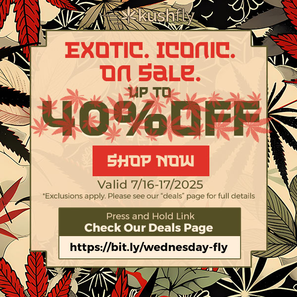 Vrettehlty yr-EXOTIC. Iconic. tin 5aLe. 4tip oral irar 53 -for TltIw Valid 7/16-17/2025 Exclusions apply. Please see our deals page for full details Press and Hold Link Check Our Deals Page https//bitly/wednesday-fly / Exotic. Iconic. On Sale. Up to 40% OFF!Shop now at https://bit.ly/wednesday-fly