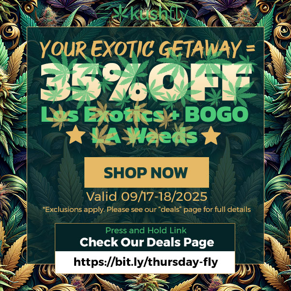Valid 09/17-18/2025 Exclusions apply. Please see our deals page for VI details Press and Hold Link Check Our Deals Page https//bit.ly/thursday-fly /  Exotic Escape Ends Soon!Los Exotics 35% OFF +Vapes & Concentrates 30% OFF+40% OFF Los Exotics & Vapes & Concentrates with 400 Fly stars+Select LA Weeds Flowers Bogo FREE!Shop now at https://bit.ly/thursday-fly