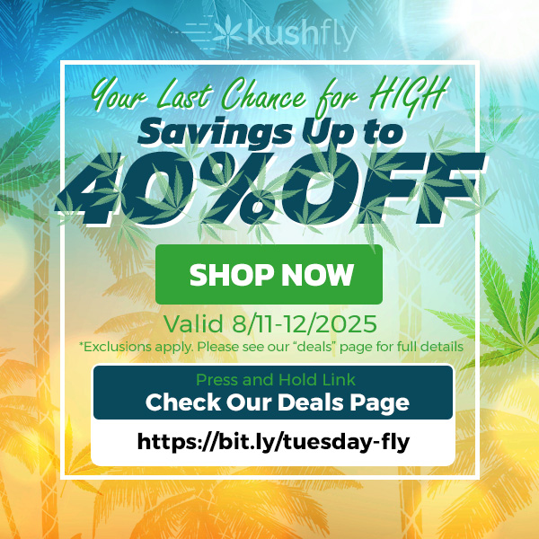 hffce jot- V/ Savings to to SHOP NOW Valid 8/11-12/2025 Exclusions apply. Please see our deals page for full do Press anu Noici Link Check Our Deals Page https//bitly/tuesday-fly / Your Last Chance for HIGH Savings Up to 40% OFF!Shop now at https://bit.ly/tuesday-fly