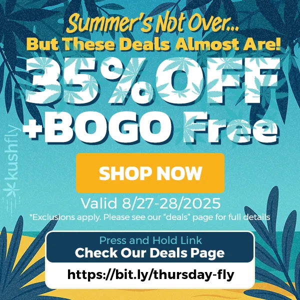  / Sun's Going Down on This Deal  35% OFF + BOGO Flowers!Shop now at https://bit.ly/thursday-fly