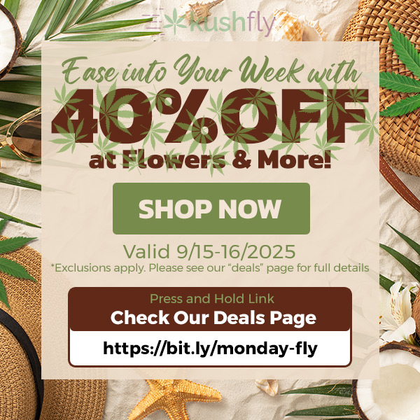 Press and Hold Link Check Our Deals Page https//bit. ly/monday-fly tregtio4 Vote 2i1trik wit 400FF at Flowers More SHOP NOW Valid 9/15-16/2025 / Ease into Your Week with 40% OFF at Flowers & More!Shop now at https://bit.ly/monday-fly